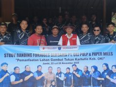 Kopi Liberika, Tanaman Andal yang Cocok di Lahan Gambut