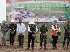 Gubernur Herman Deru Pimpin Tanam Padi Serentak di Banyuasin, Perkuat Sumsel sebagai Lumbung Pangan Nasional