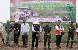 Gubernur Herman Deru Pimpin Tanam Padi Serentak di Banyuasin, Perkuat Sumsel sebagai Lumbung Pangan Nasional