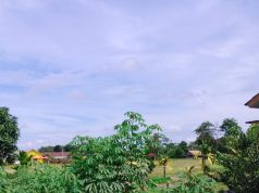 Bhabinkamtibmas Polsek Air Kumbang Gerakkan Warga Dukung Program Swasembada Pangan