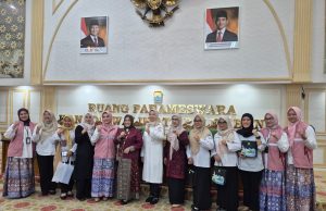 Perkuat Literasi Digital Perempuan, Srikandi PLN S2JB Gandeng DWP Kota Palembang Kenalkan PLN Mobile