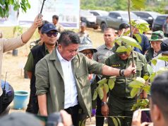 Herman Deru Tanam Pohon Blangeran dan Dorong Percepatan Perbaikan WTP di Kebun Raya Sriwijaya