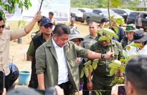 Herman Deru Tanam Pohon Blangeran dan Dorong Percepatan Perbaikan WTP di Kebun Raya Sriwijaya