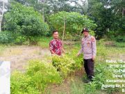 Bhabinkamtibmas Polsek Rantau Bayur Ajak Warga Desa Sungai Naik Dukung Program Pekarangan Pangan Bergizi