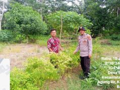 Bhabinkamtibmas Polsek Rantau Bayur Ajak Warga Desa Sungai Naik Dukung Program Pekarangan Pangan Bergizi