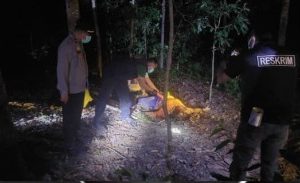 POLSEK BANYUASIN III BERSAMA TIM INAFIS POLRES BANYUASIN LAKUKAN OLAH TKP PENEMUAN DUA JENAZAH DI SEMBAWA