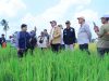 Gubernur Herman Deru Pimpin Panen Raya IP 200 di Ogan Ilir, Targetkan Produksi Gabah Sumsel Tembus 5 Juta Ton