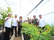 Gubernur Herman Deru Tegaskan Kelestarian Hutan Jadi Kunci Keberlanjutan Sumber Daya Air dan Kehidupan Masyarakat Sumsel