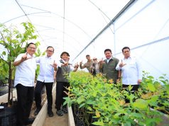 Gubernur Herman Deru Tegaskan Kelestarian Hutan Jadi Kunci Keberlanjutan Sumber Daya Air dan Kehidupan Masyarakat Sumsel