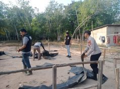 Polres OKI Bongkar Arena Sabung Ayam di Kayu Labu