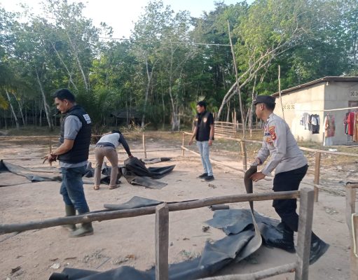 Polres OKI Bongkar Arena Sabung Ayam di Kayu Labu