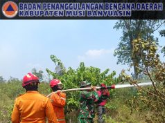 Kesekian Kalinya Karhutla Terjadi di Muba, BPBD Selalu Siaga Padamkan Api